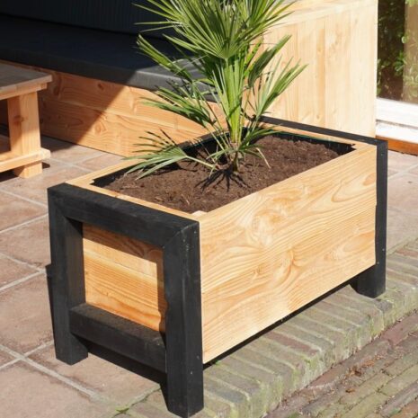 douglas bloembak 2 met zwart fraame