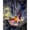 sfeerafbeelding bonfeu bonves 34 zwart - winters plaatje in de sneeuw