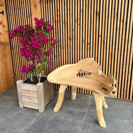 Boombank natuurlijke vormen 1 zits