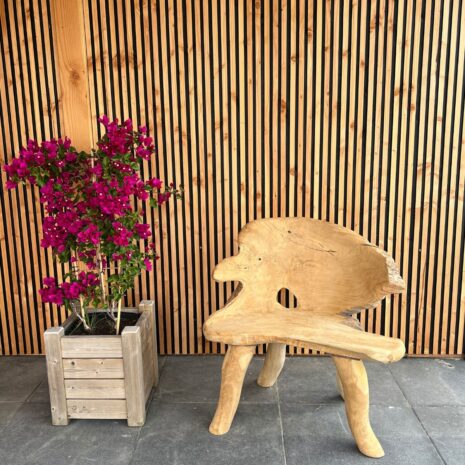 Boombank natuurlijke vormen eenzits