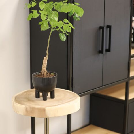 boomstam bijzettafeltje met koperen pootjes