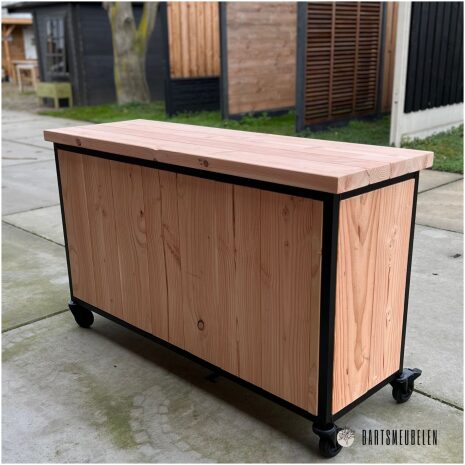 Douglas tuinkast met stalen frame achterkant