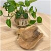Suar houten schaal naturel 30 cm – organische vorm