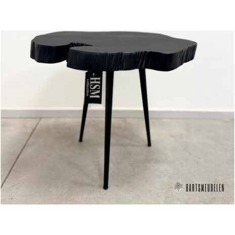 HSM collection Acasia planten tafeltje met stalen poten (H)