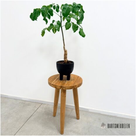 Planten tafeltje Teak (F)