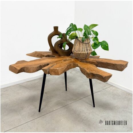 Plantentafeltje Teak met stalen poten (C)