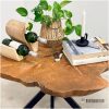 Teak boomstam bijzet tafel met matrix poot (E)