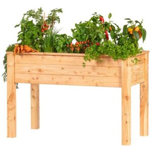 Verhoogde Lariks Moestuinbak 120x60x80 cm