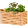 Verhoogde plantenbak Donau lariks B120xD60xH65 cm